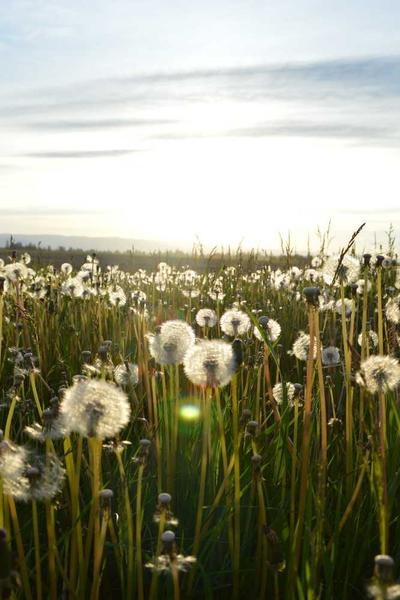 末世求生：開局一座避難所