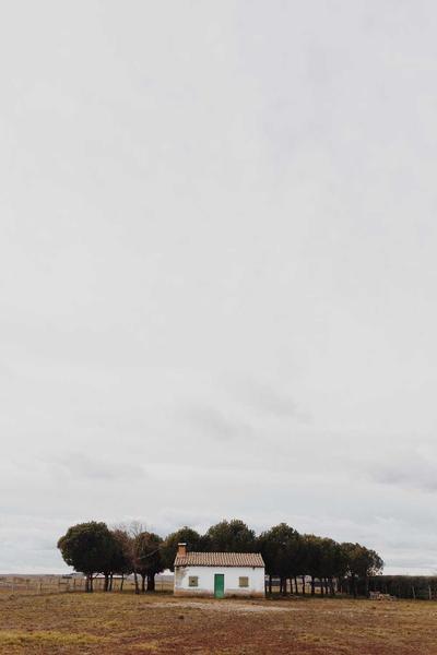 我在古代搞基建