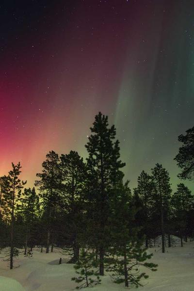 重回九零：神醫嬌妻颯翻了