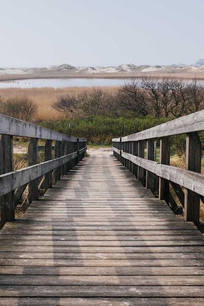 穿書後，我成了反派白月光