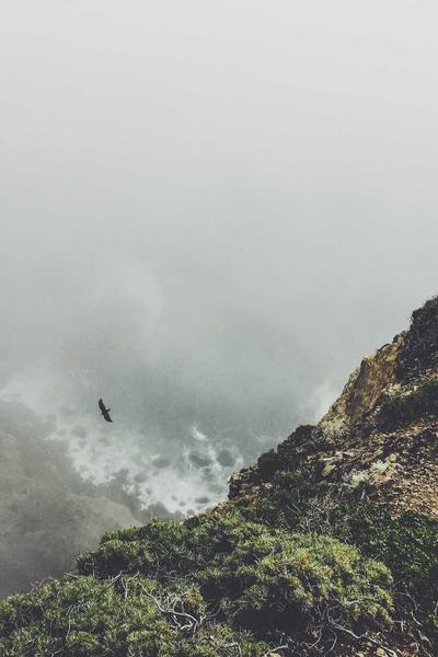 我在修仙界開便利店