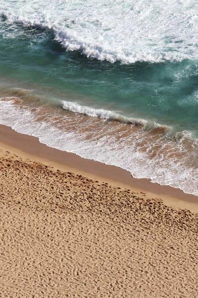 無限逃生：開局覺醒真實之眼