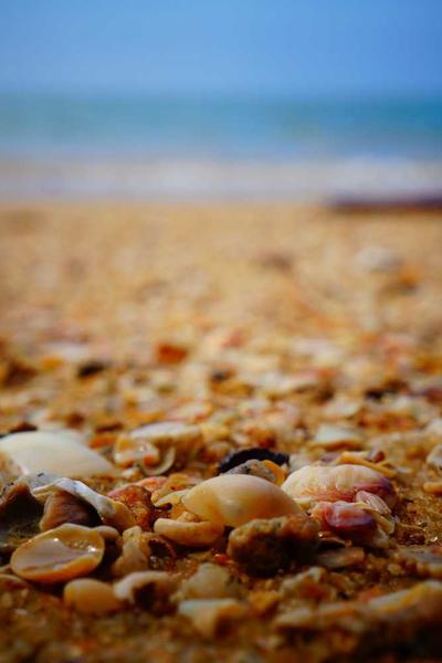 珠寶獵人：全球掃貨指南