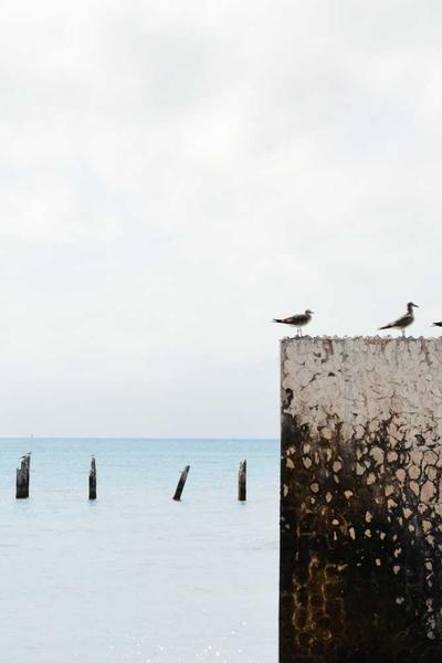 銀河帝國的黃昏