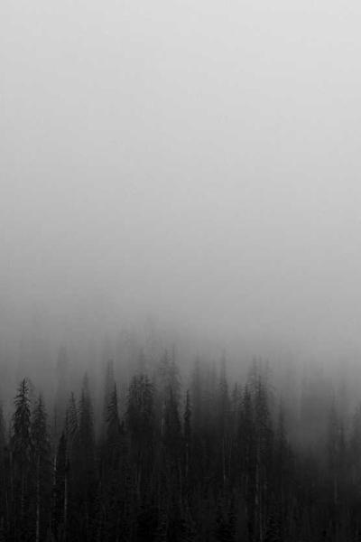 頂流女星的秘密情人