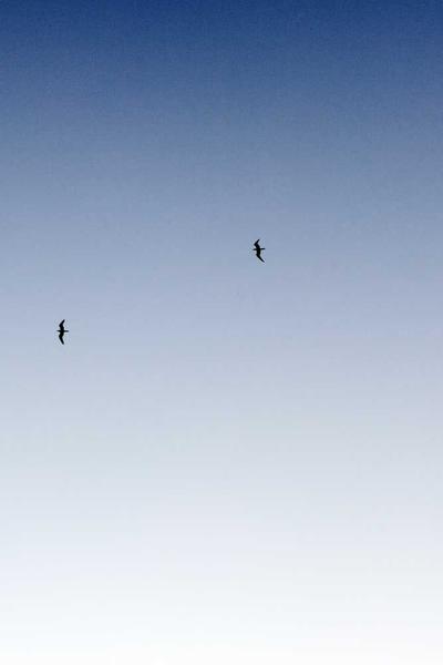 重生之我有隨身空間