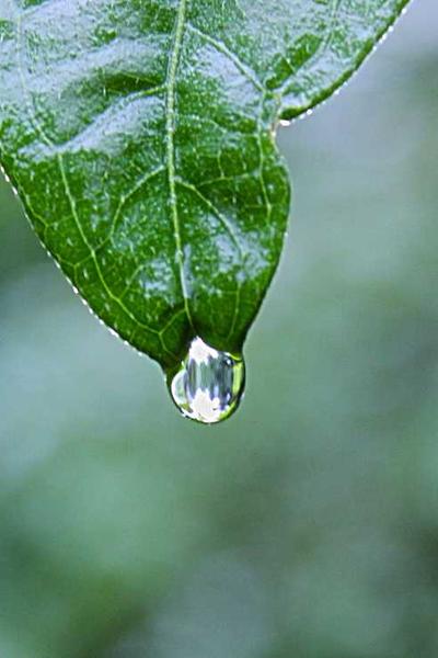 閃婚厚愛：我的老公是神祕大佬