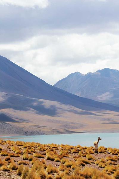 快穿之大佬她又美又颯