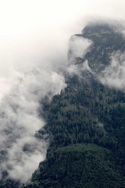 神醫嫡女：傲嬌王爺求放過